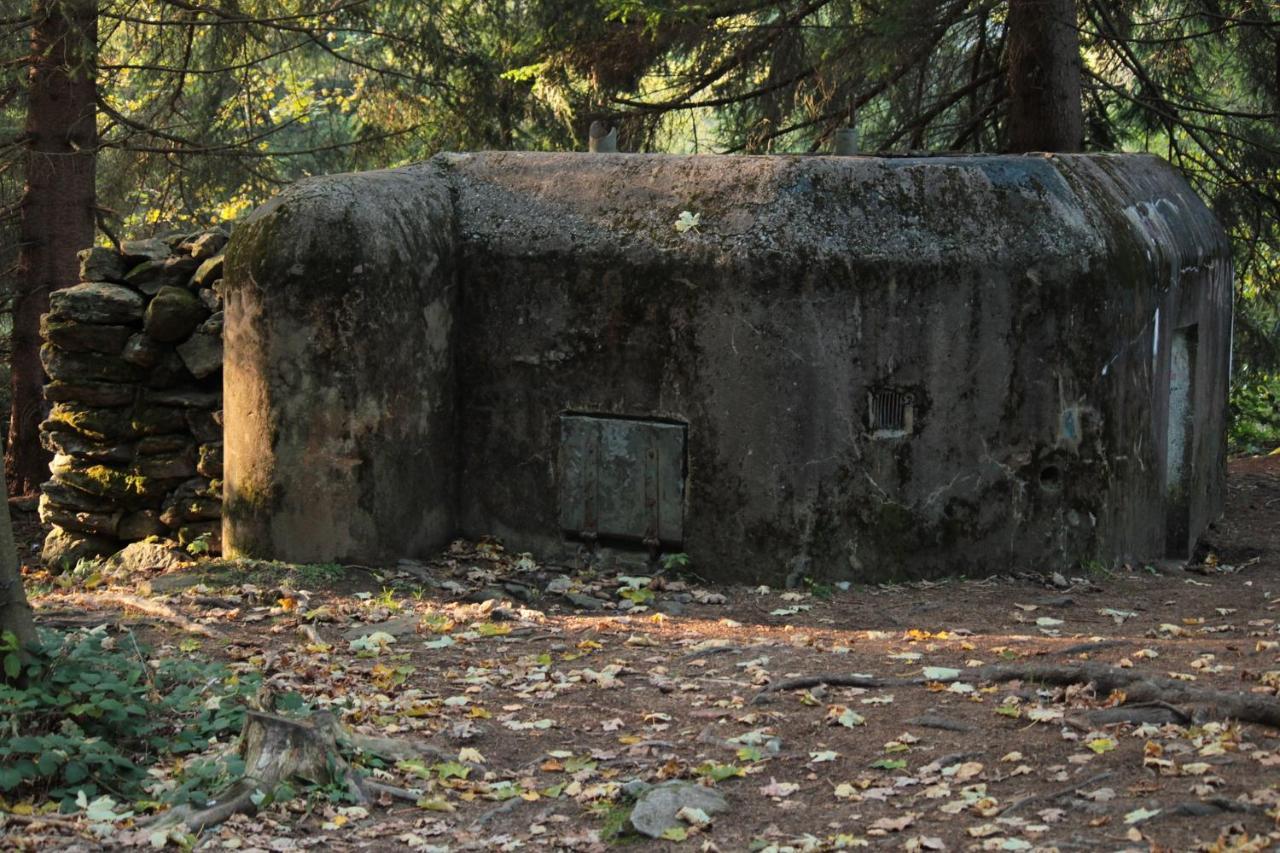 Penzion U Molu Horni Vltavice Exterior photo
