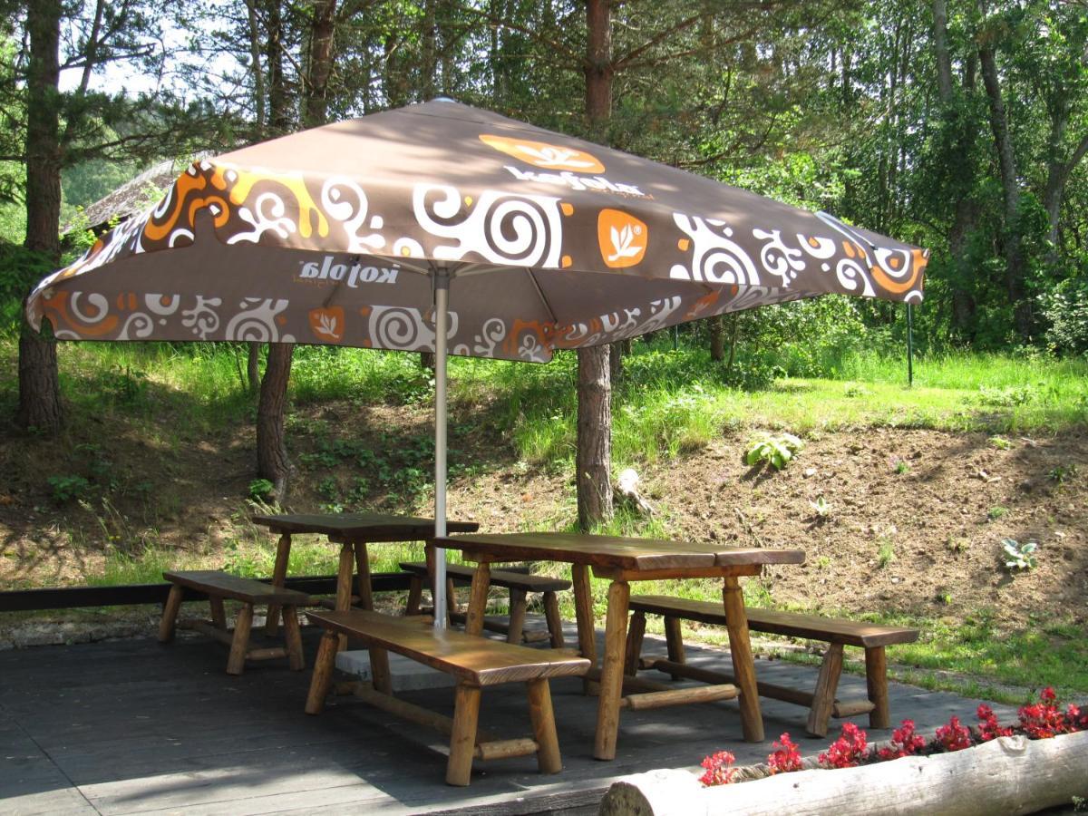 Penzion U Molu Horni Vltavice Exterior photo