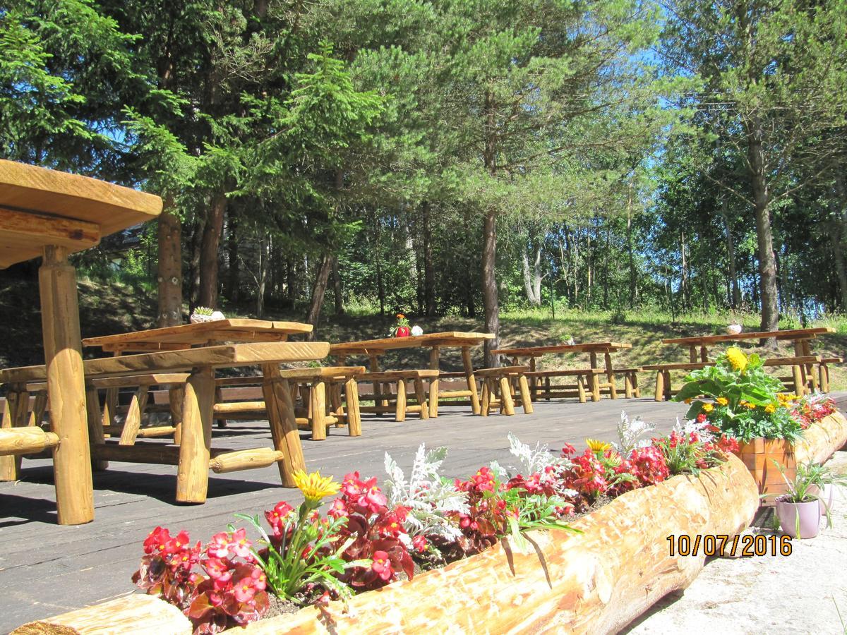 Penzion U Molu Horni Vltavice Exterior photo
