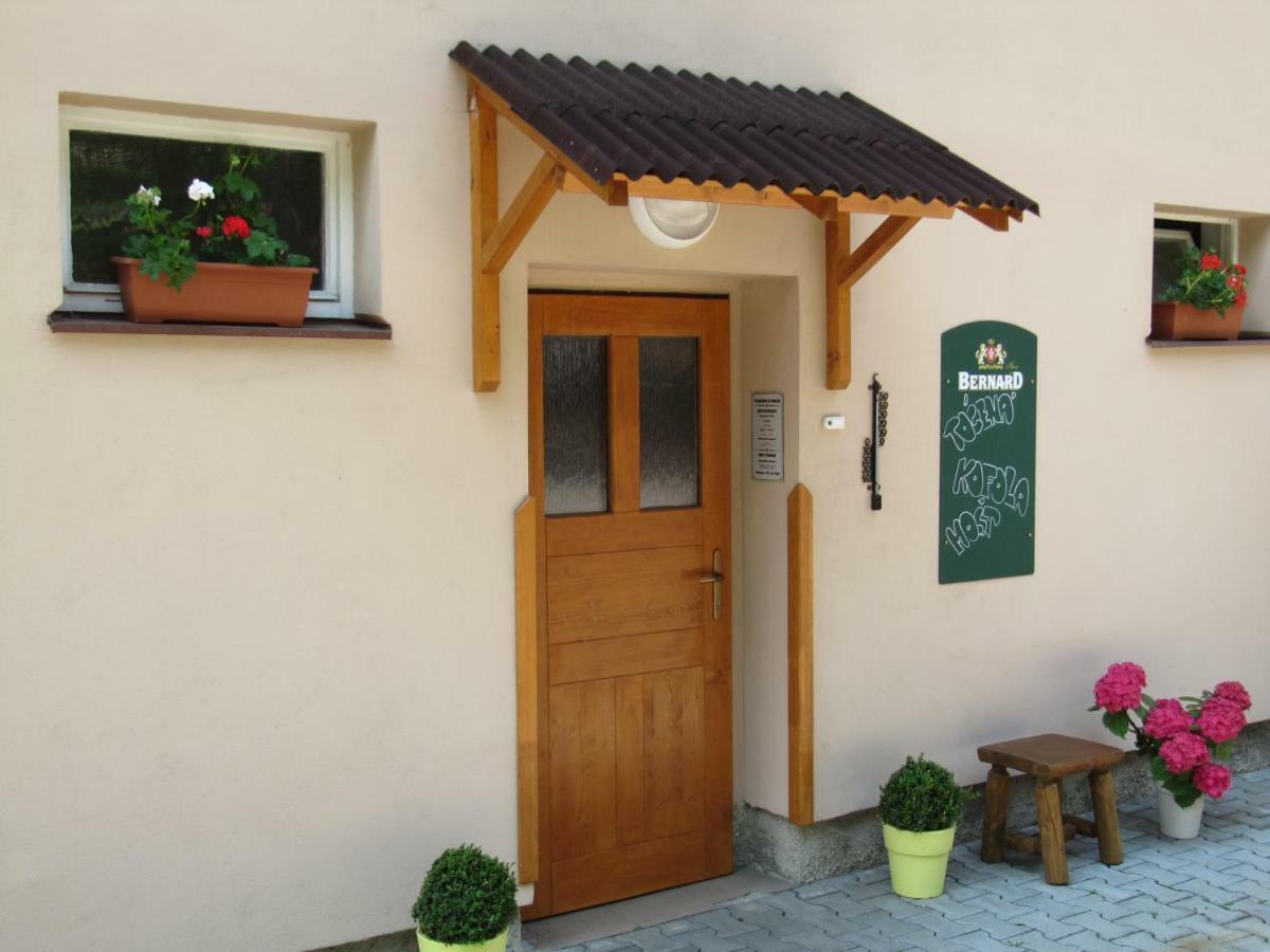 Penzion U Molu Horni Vltavice Exterior photo